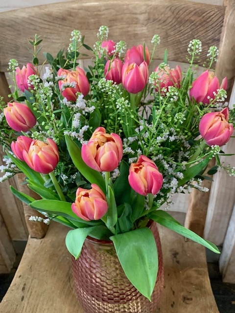 Tulip Delight