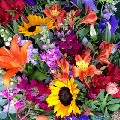 Colours of the Rainbow Handtied