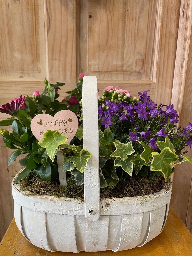 Mother's Day Planted Basket