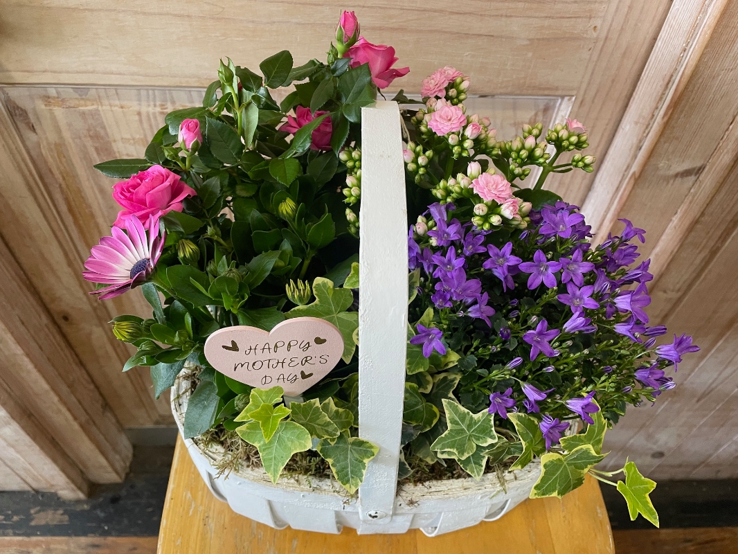 Mother's Day Planted Basket