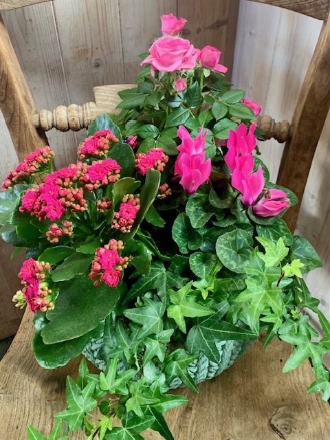 Seasonal Planter