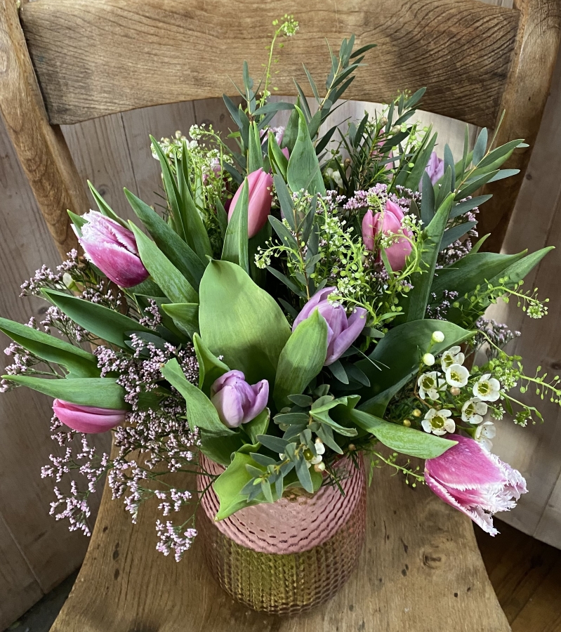 Tulip Delight
