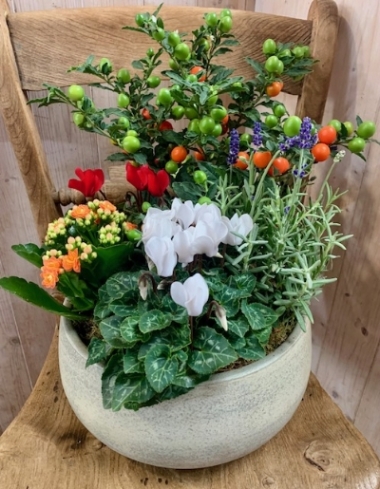 Seasonal Planter