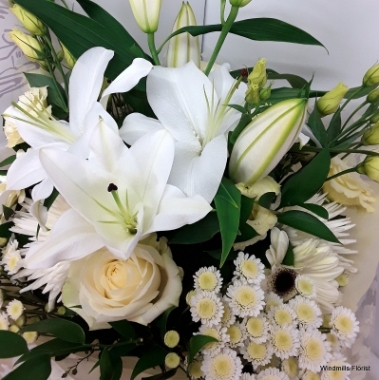 Elegant Handtied