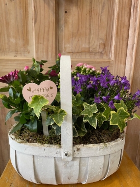 Mother's Day Planted Basket
