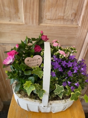 Mother's Day Planted Basket
