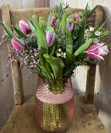 Tulip Delight