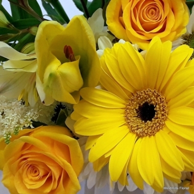 You Are My Sunshine Handtied